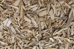 biomass boilers Pitgrudy
